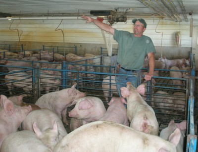 Clearly Seen - hog farm Clearly Seen - hog farm