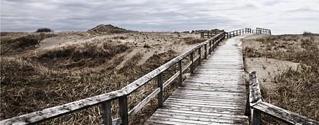 header-beach boardwalk