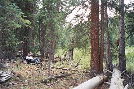wilderness-37