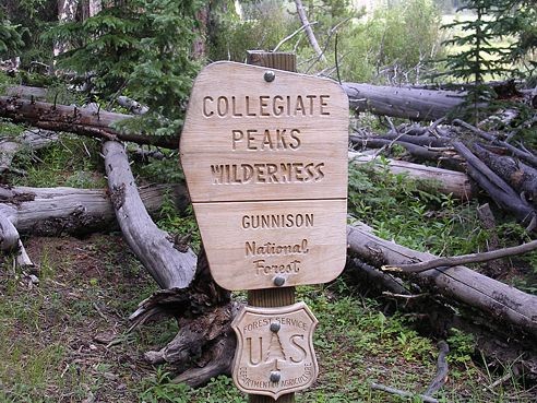 wilderness-49