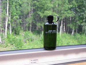 wwb-klein train to Denali Park