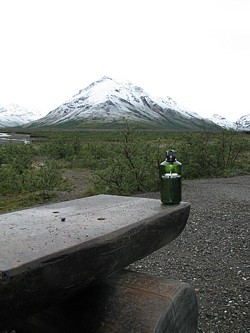 wwb-klein Denali Park 1
