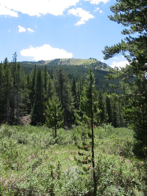 Wilderness 060