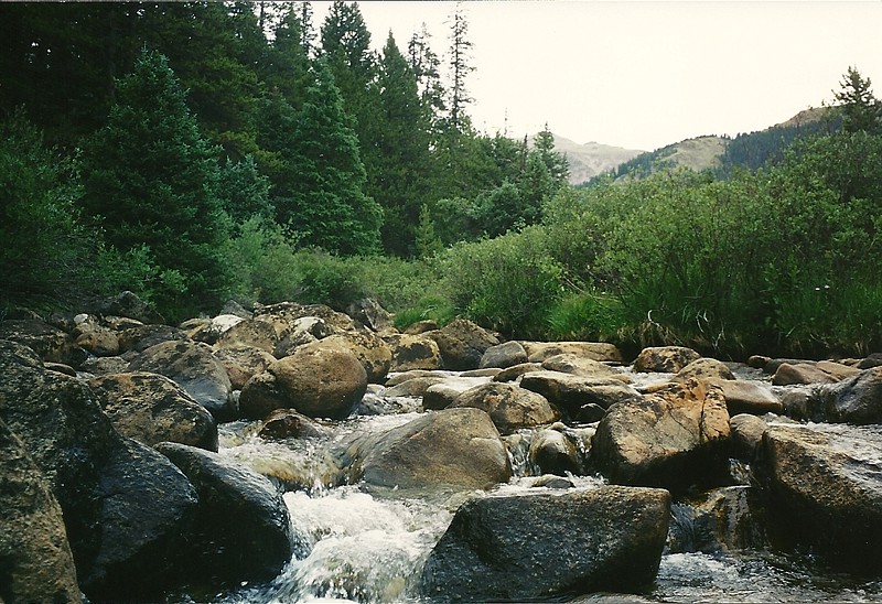 Wilderness 064