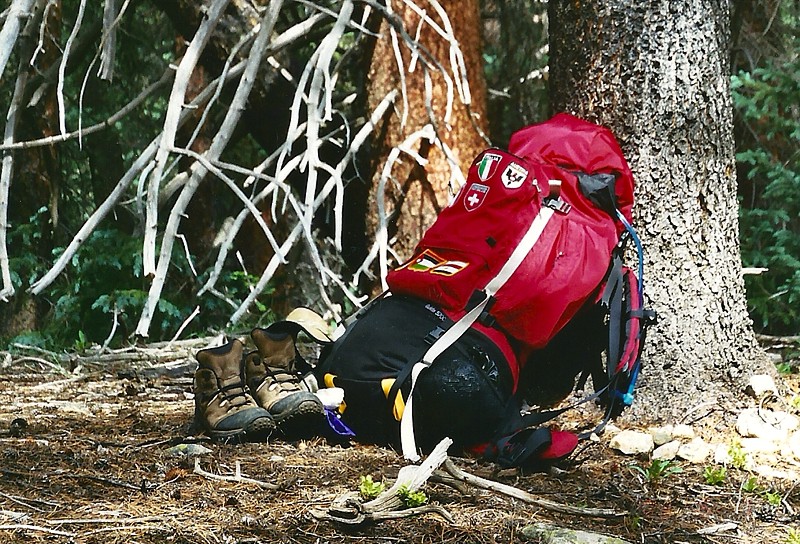 Wilderness 069